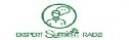 "SUMIN" D. CZABAŃSKA, W. CZABAŃSKI I WSPÓLNICY SP. J. – logo